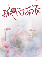 孤雁向南飞